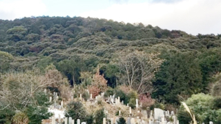 京都市東山区の墓地・霊園、京都市営清水山墓地